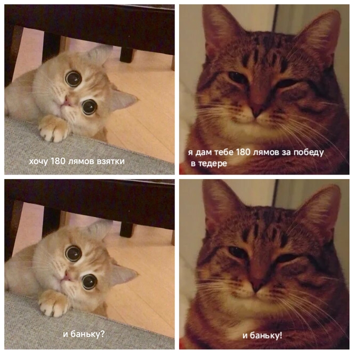    ? , ,  , , , ,   