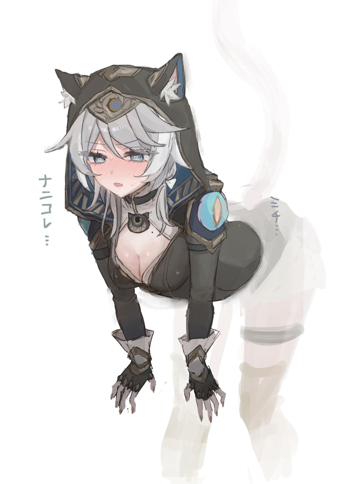 ... Anime Art, Honkai: Star Rail, Cipher (Honkai: Star Rail), Animal Ears, 