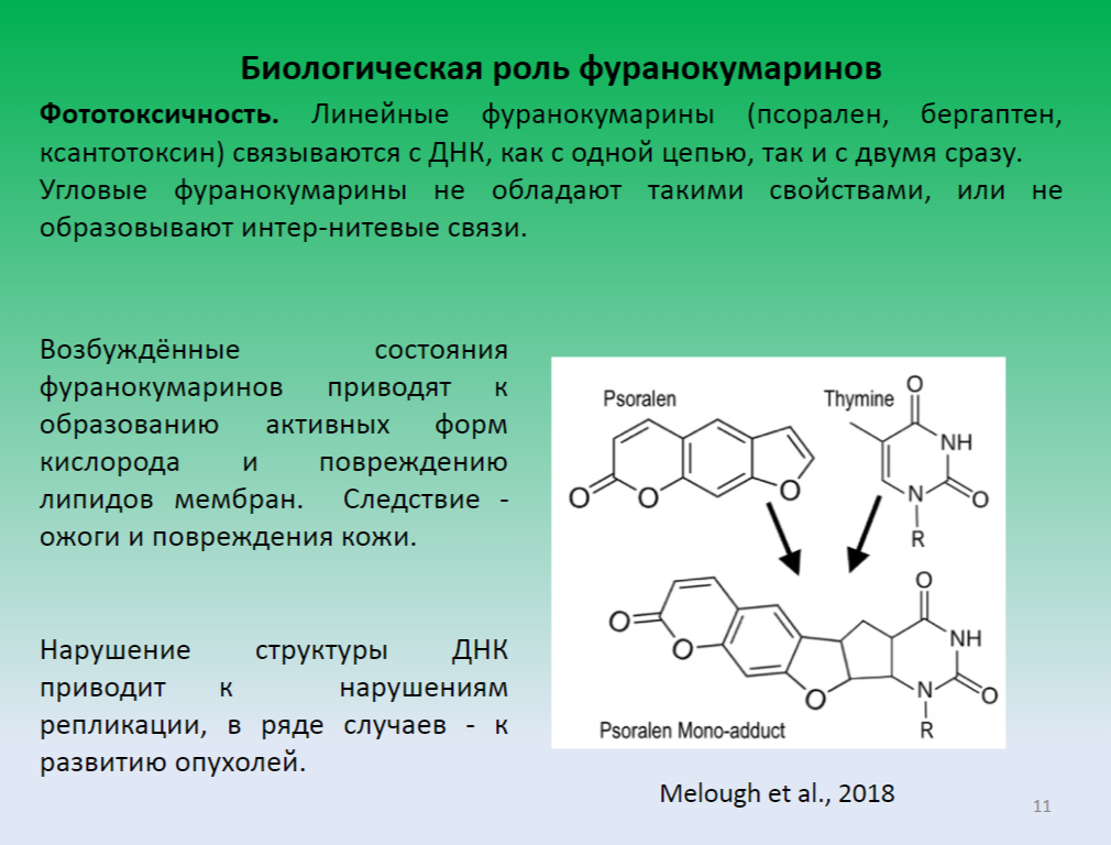 Ответ на пост «Мужчина косил траву на даче и не обратил внимание, что ...
