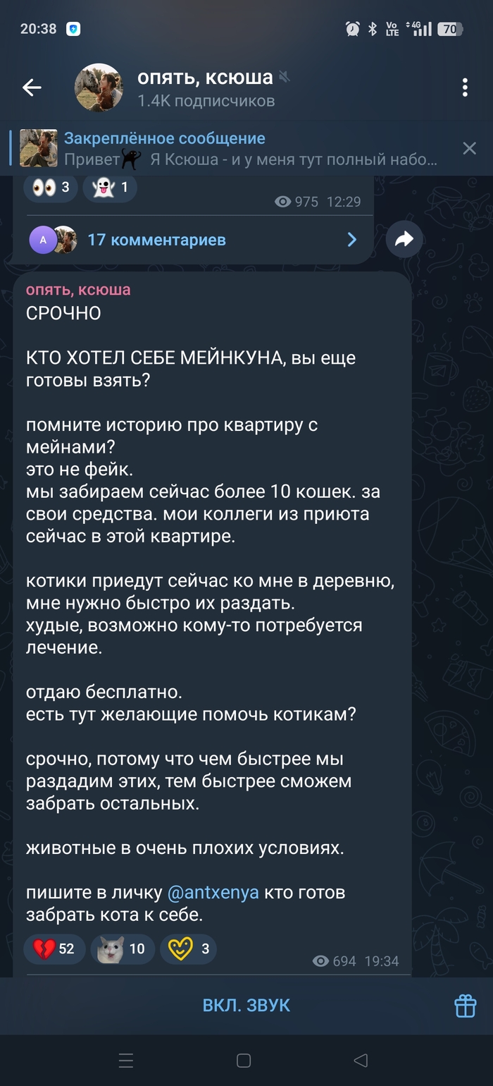  . -    ,    , -,   ,  , ,  