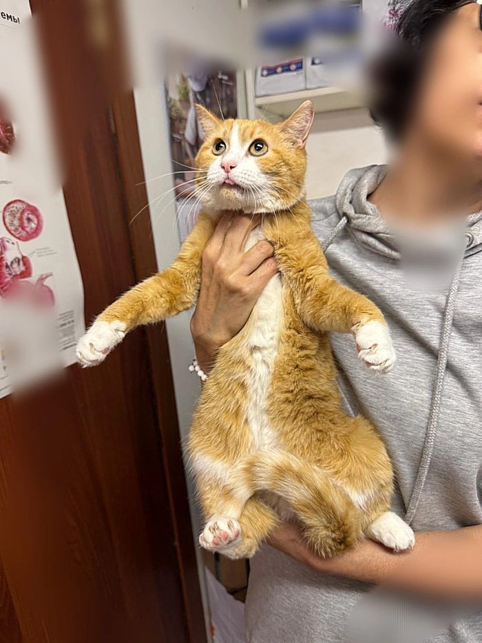    ! - ,  ,   