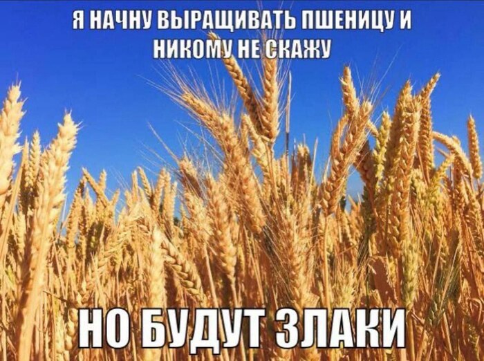   , , , ,   