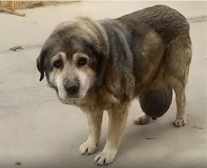      ?    , , ,  , , 