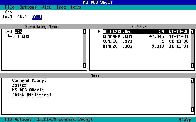 11.06.1991 - pecae MS-DOS 5.0 [_] Microsoft, DOS, Windows,  , , IT,  IT, , , ,  , , , ,  