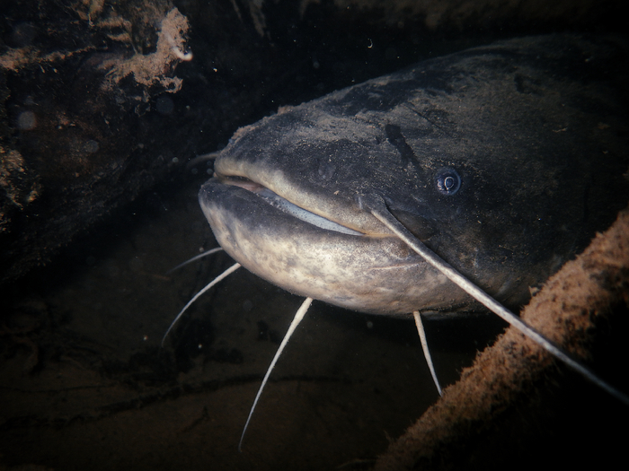       .              .        .