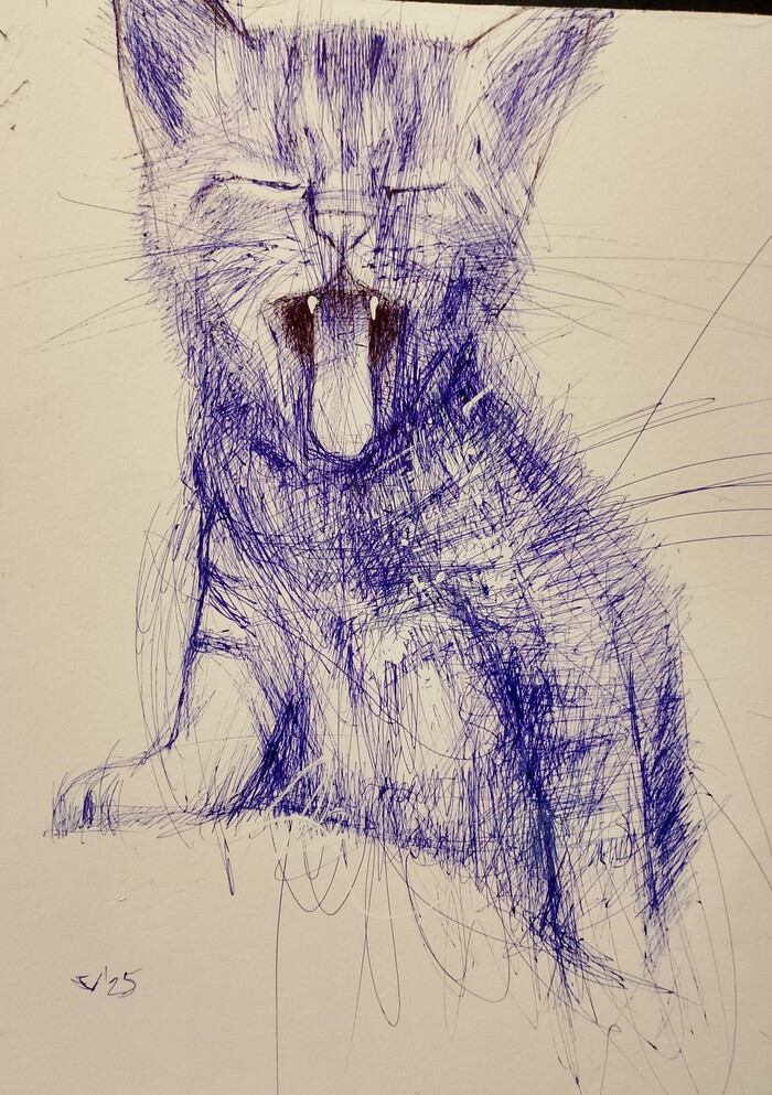  , , , , , , ,  