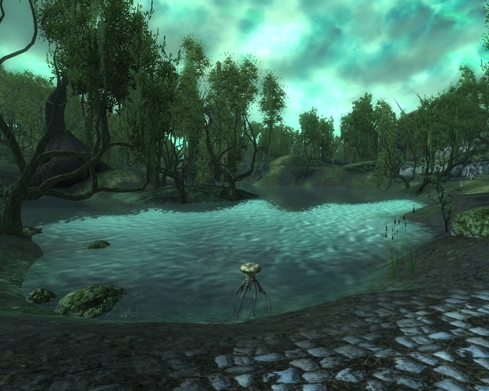    (Water Root Pod) Bethesda, The Elder Scrolls, The Elder Scrolls IV: Oblivion, , ,  , , , 