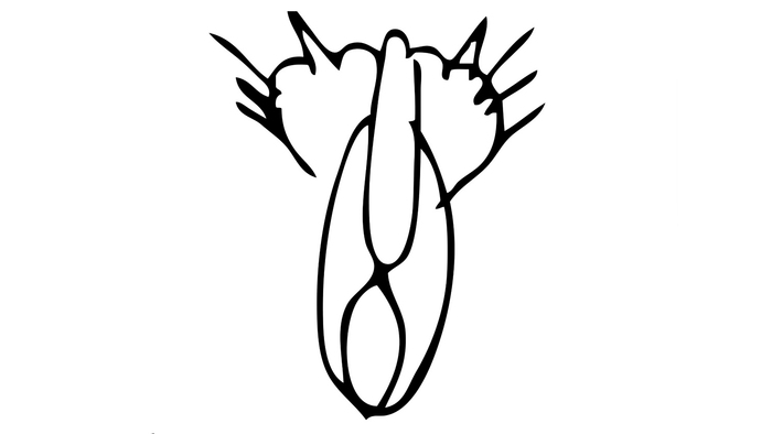   ?      ,      , ,  , ,  , , , , , , ,  ,  , , 