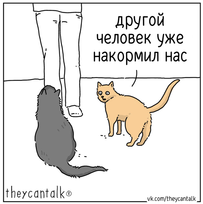  Theycantalk,  , , , , , , 