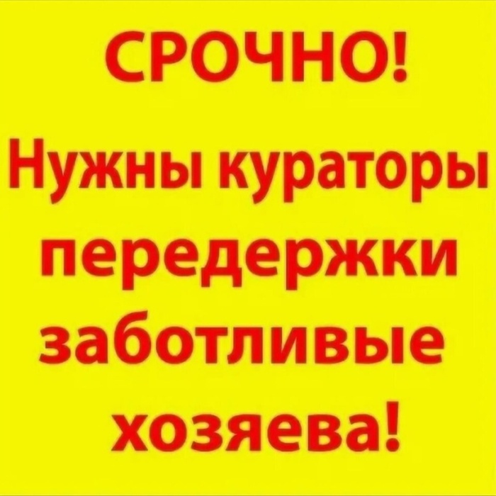 36     ,   ,  , , , -, ,  , ,  , , 