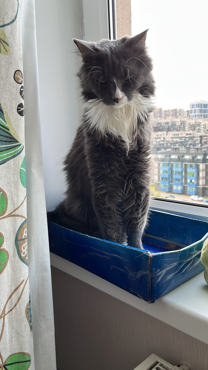 Грей вертикально