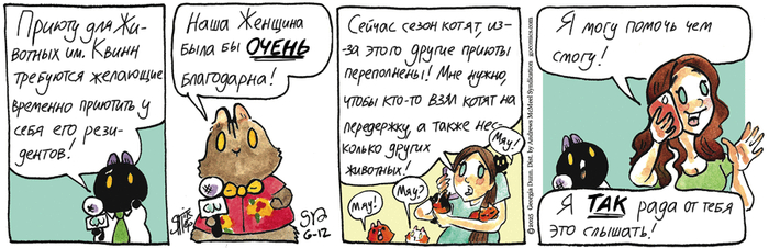 Котейкины Новости от 12.06.2025