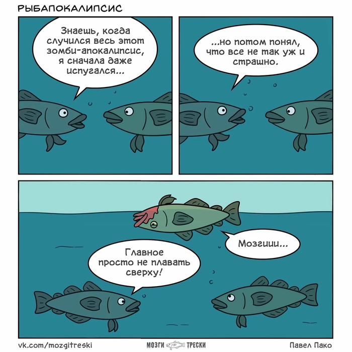  , , , -, , ,  , 