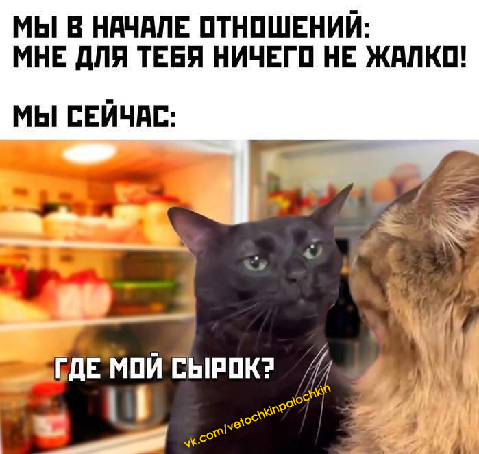   ? ,  (), , , , , ,   , , 
