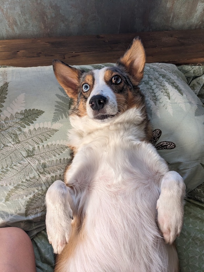    , , ,  , 
