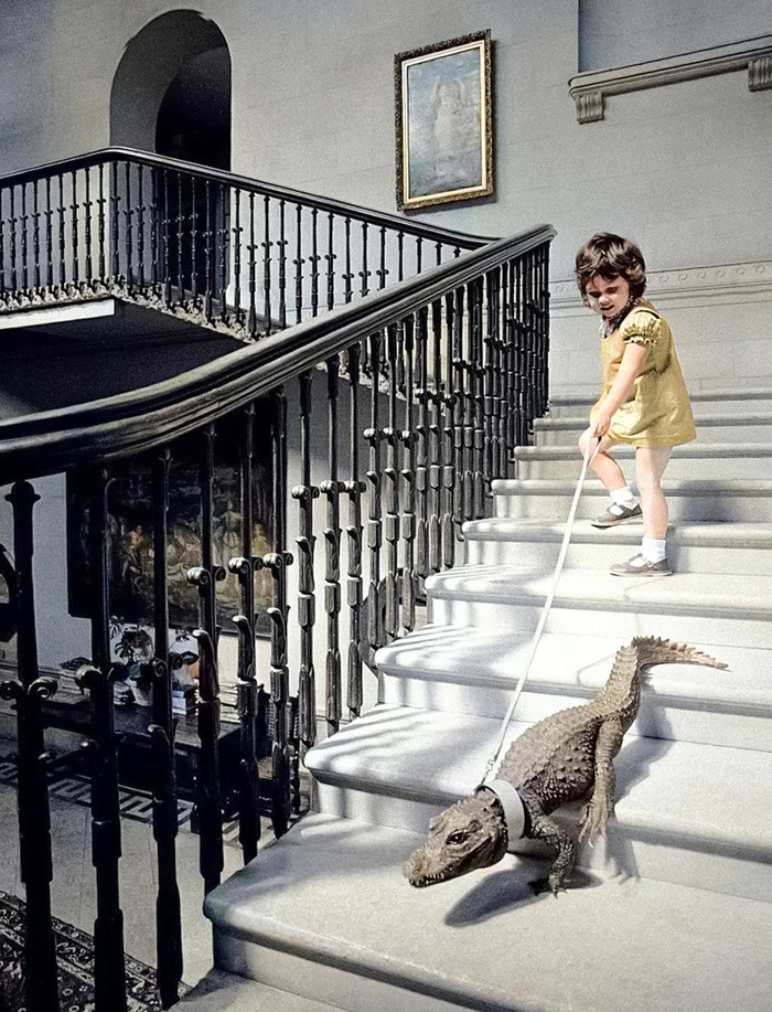 Подборка фотографий из прошлого, которые заставляют удивиться. 20 раскрашенных фотографий из XIX-ХХ века. Часть 19 Историческое фото, Старое фото, Фотография, 20 век, Колоризация, Длиннопост