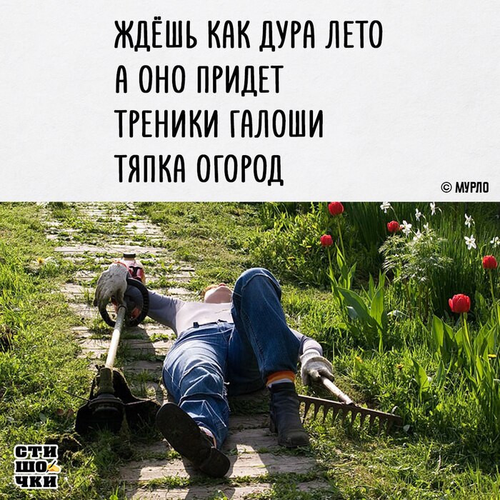  ,   , , -, , ,   , ,  , Telegram ()