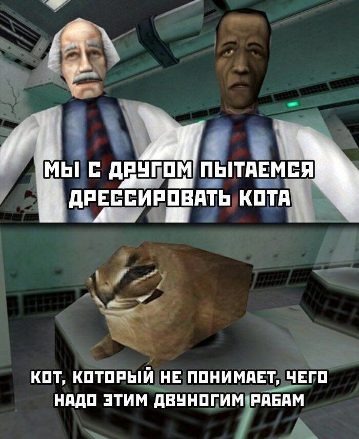         , , , ,   
