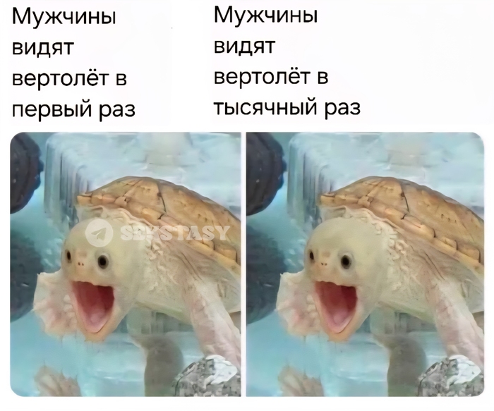    , ?)