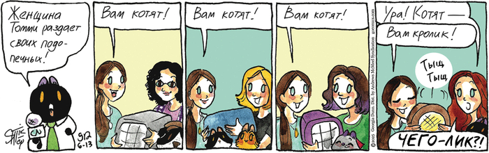   13.06.2025 ,   (), , 