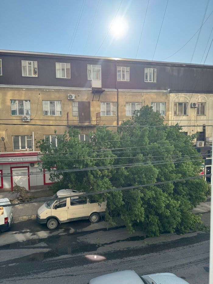 Последствия вчерашнего ветра в Махачкале