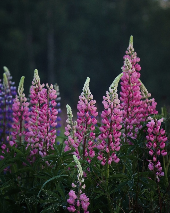 Фото Д. Антоновой.