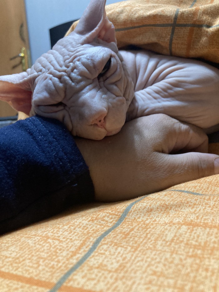    2    ,  , ,  , 