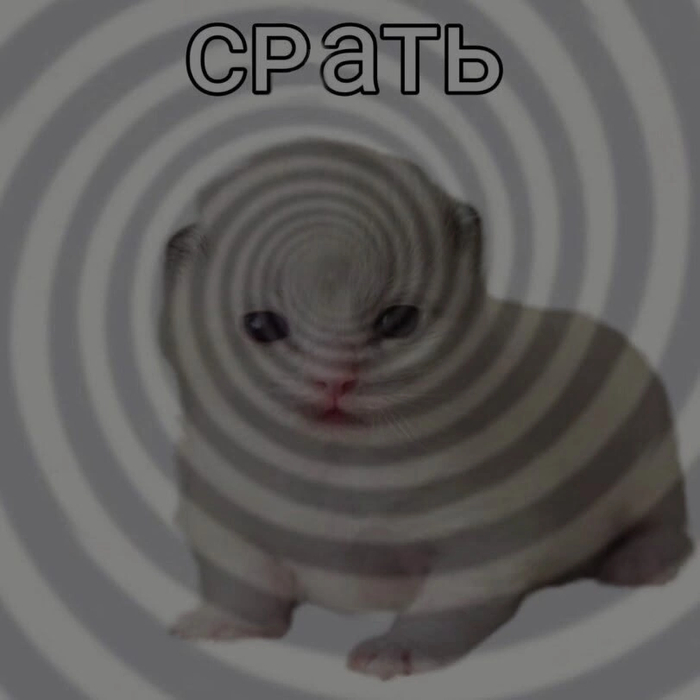  , , 