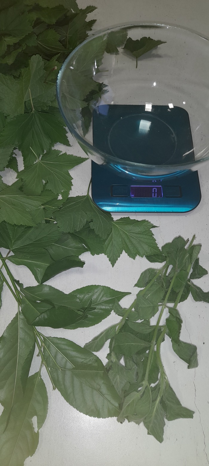   ,   , , ,  , , 