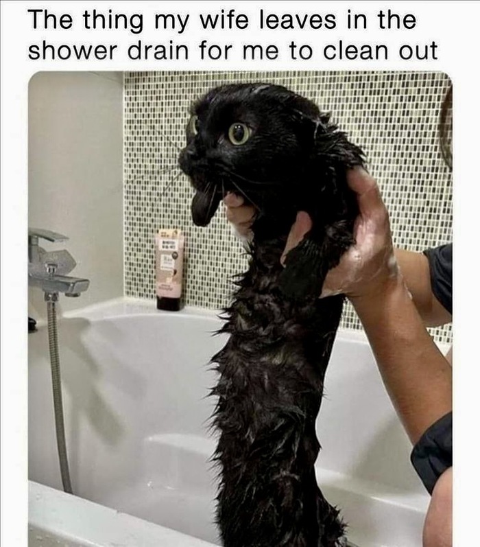 -    , ,   