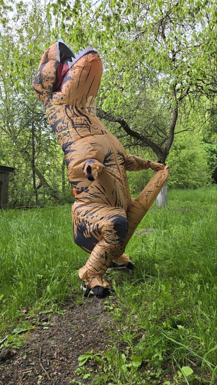 ������ �������� ������ ���������.