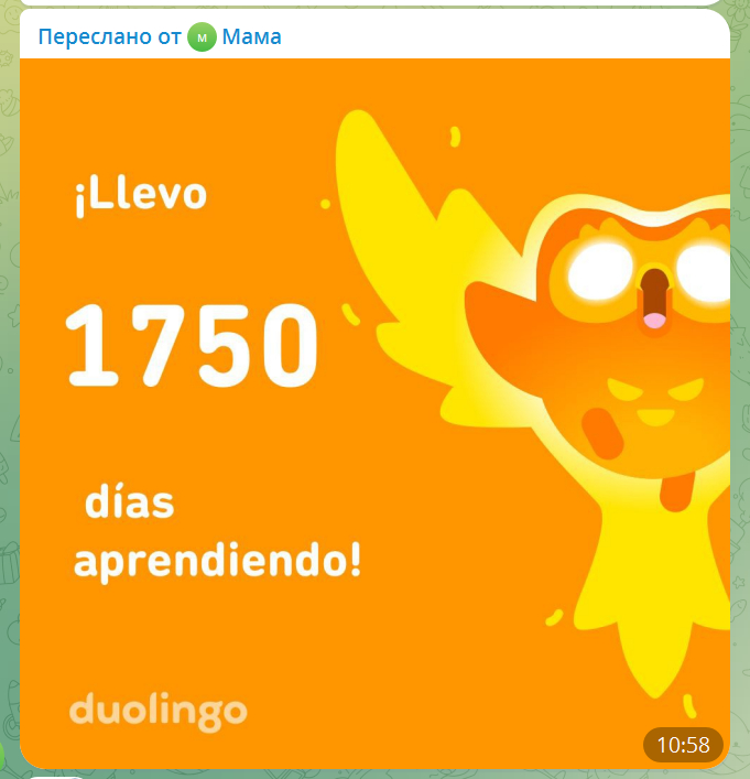 Испанская сова