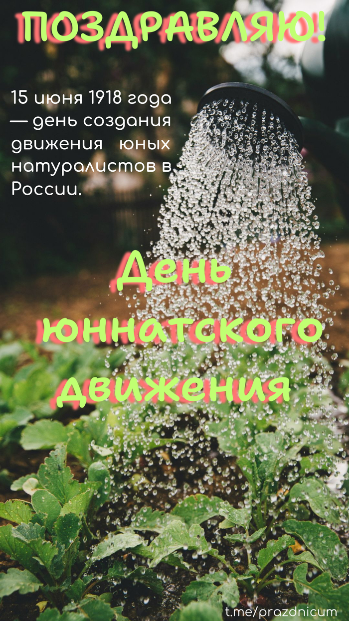   ?  !) ,  ,   , , , , ,   , , , Telegram ()