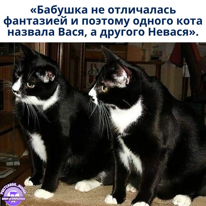 Юмор в открытках