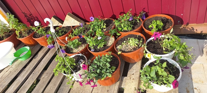     .     ,  ,      .  !