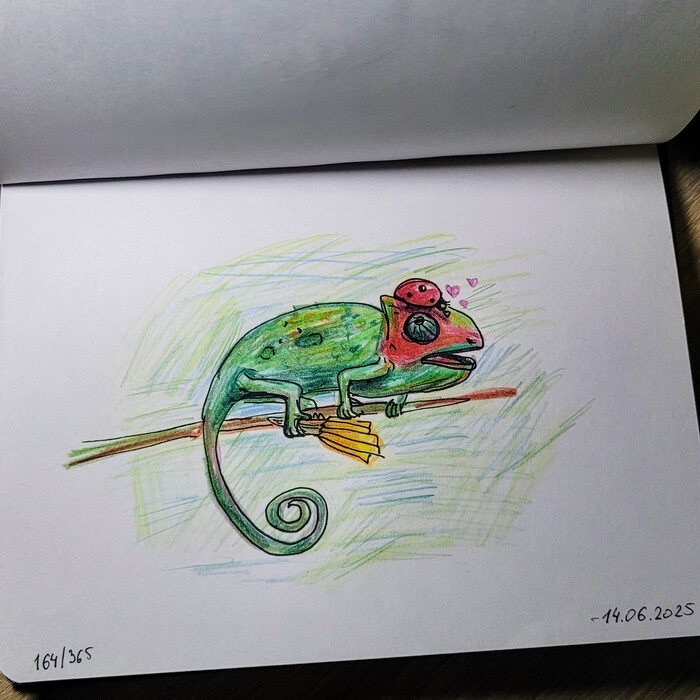   . 164/365 , , , , 