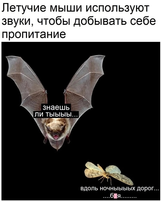  ,   ,  ,   , , ,  