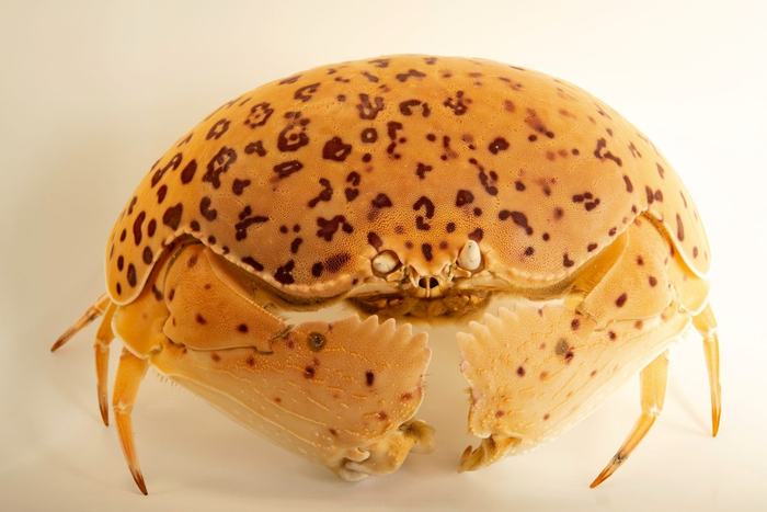  , ,  :        ,      .     ,    .