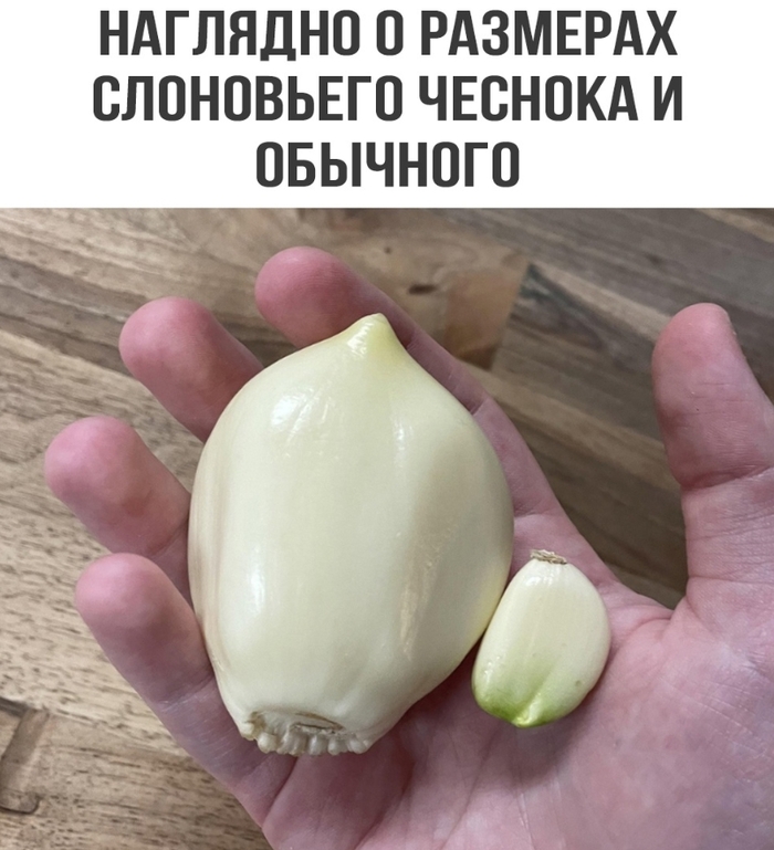 ...  , , , ,   , 