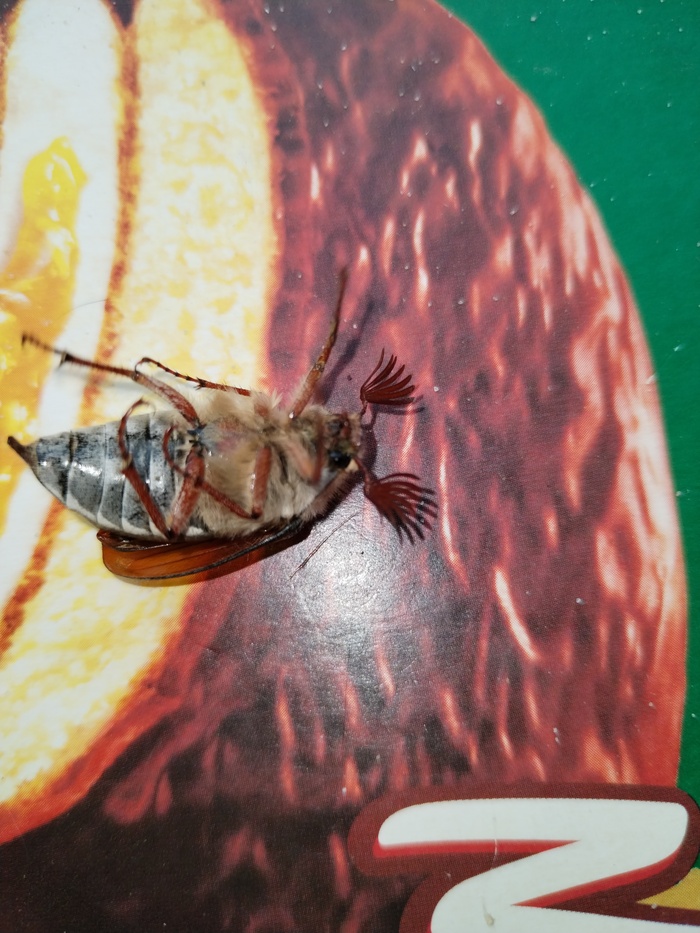   , , ,  , , ,  , , 