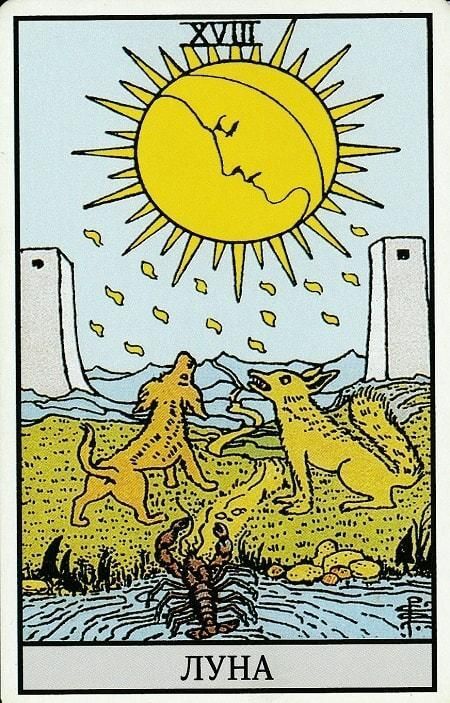     16.06.2025 , , ,  , , , ,  (), , , , , , 