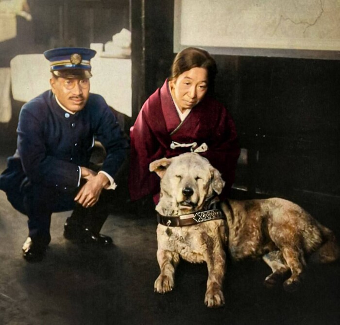 Хатико в метро