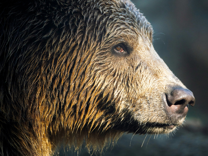     .     .        .         .   ?   !