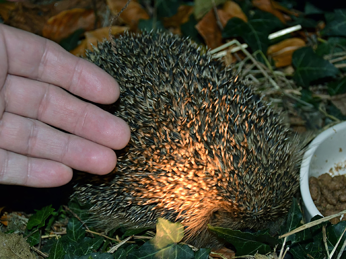  -,  .        .     !