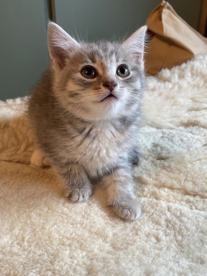      ? ,  , ,   , , ,  , , ,  ,  , , ,  , 