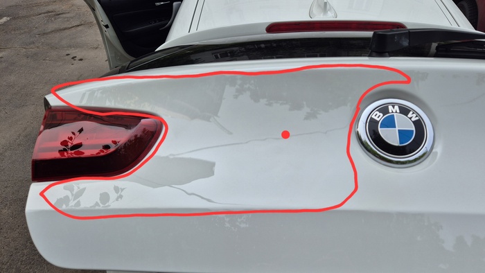 Точка - место рыжика, остальное залаченная и перекрашенная зона.