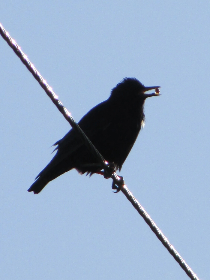  , , , , ,   , ,  , , ,  , 