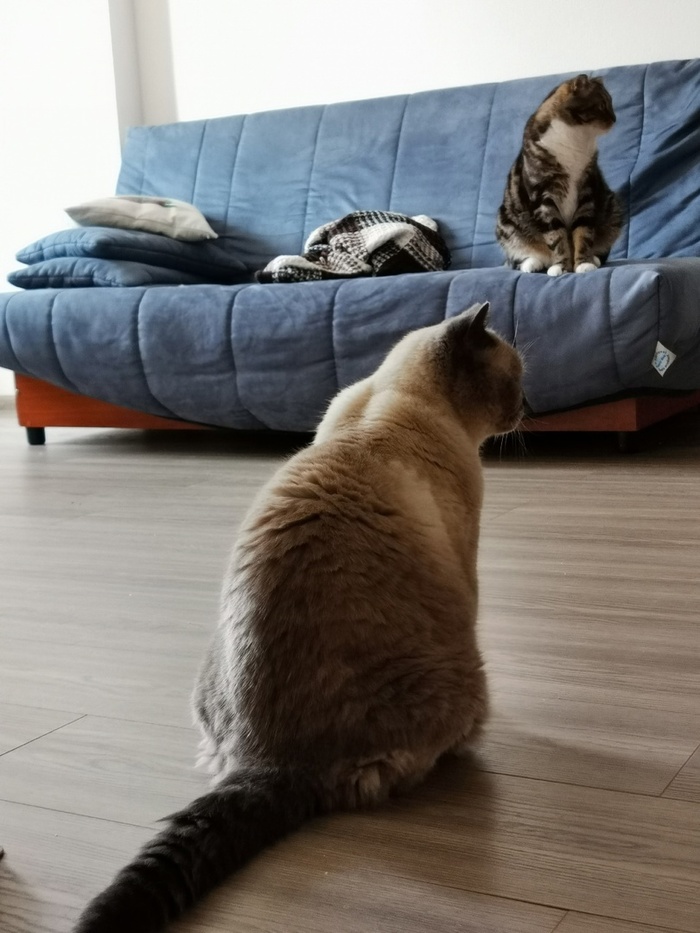   , , ,  ,  ,   , , , , 