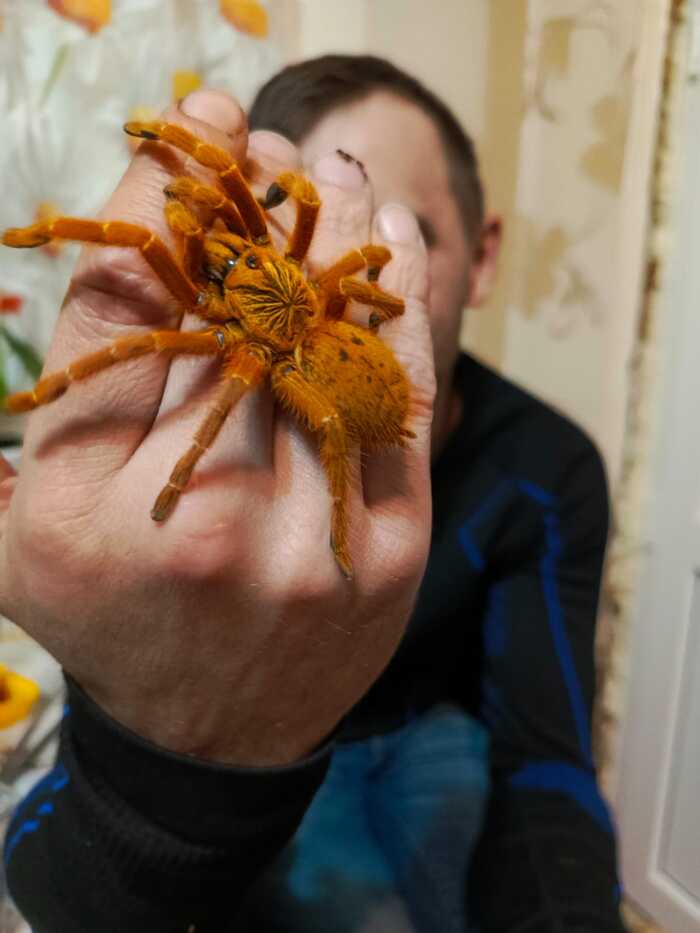 !     ,   !        ,   , , , , 