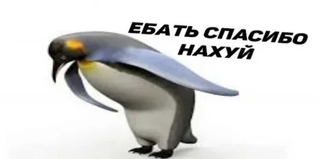   ,  , , 